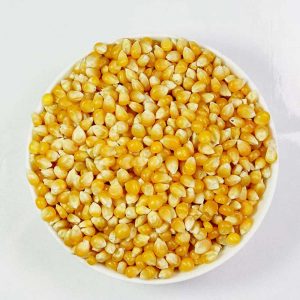 Maïs à pop corn - TERRIA - Grossiste alimentaire, Importateur, Fabricant d'olives, tapenade, fruits secs et épices